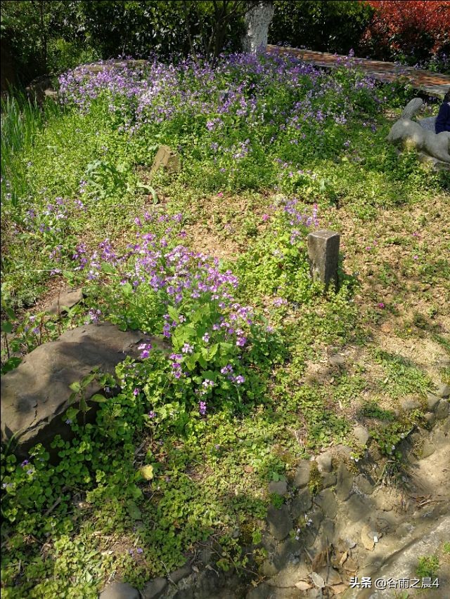 宜兴竹海徒步路线推荐,宜兴竹海最高海拔多少