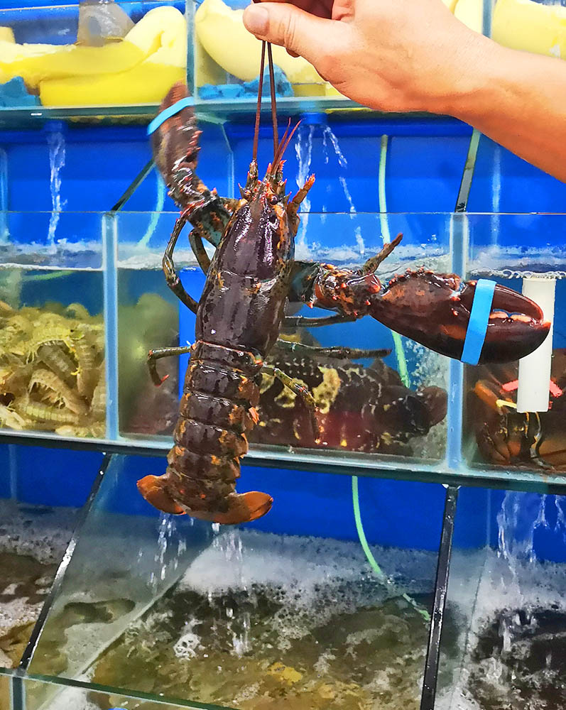 三亚小胡子川味海鲜好不好,三亚好吃的小胡子川味海鲜