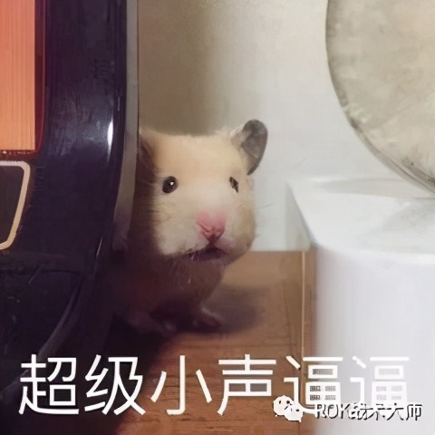 那些被忽略的宝藏车型,正统三国红色装备图纸怎么获取