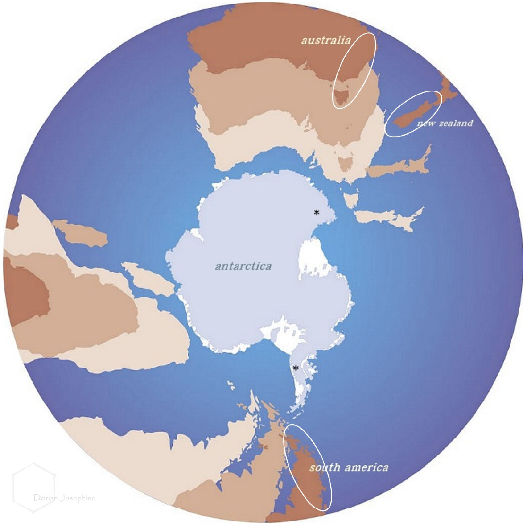 新西兰南岛一日游,新西兰南岛旅游地图
