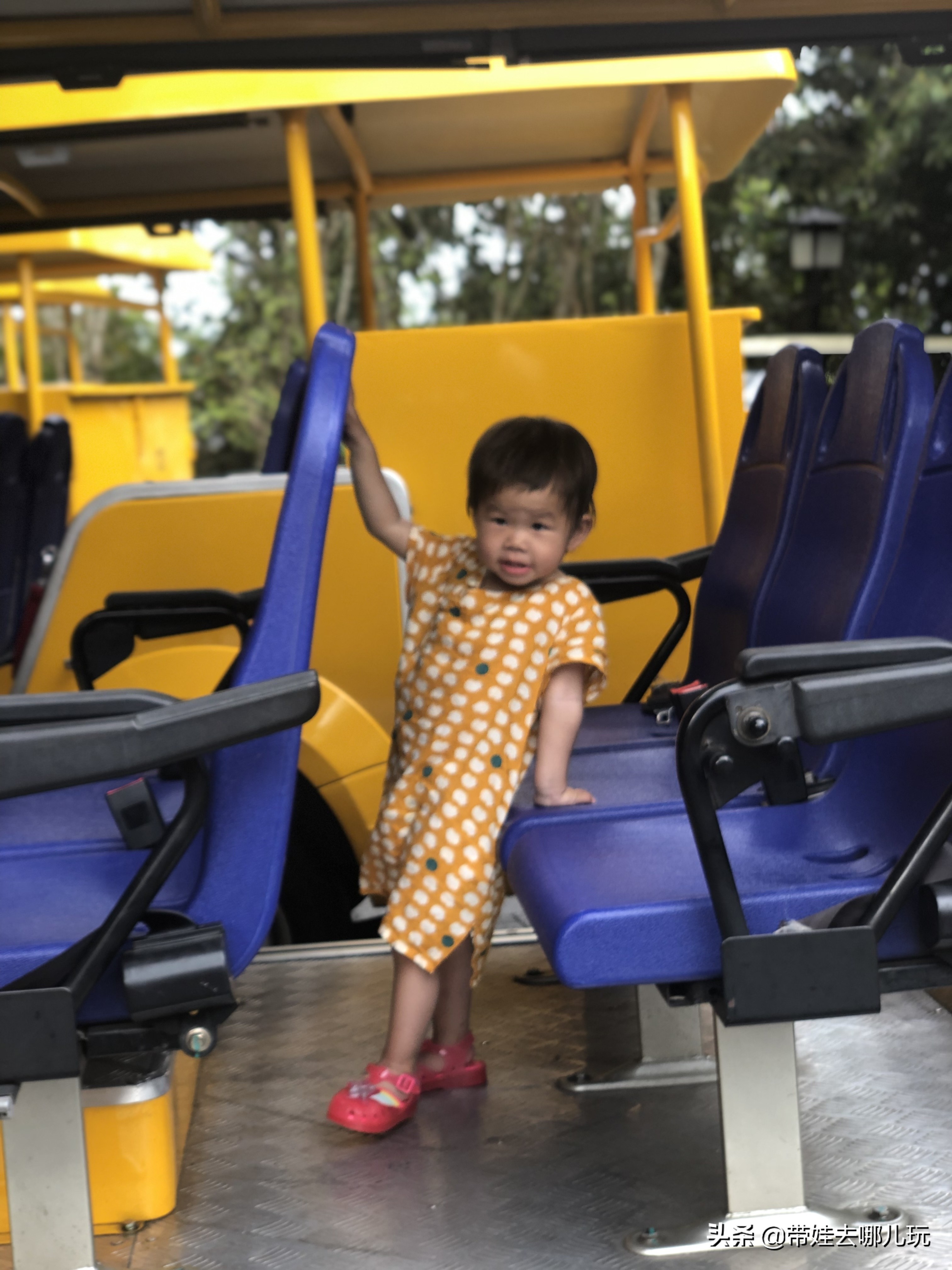 住三亚亚龙湾鸟巢酒店,亚龙湾森林热带天堂非诚勿扰