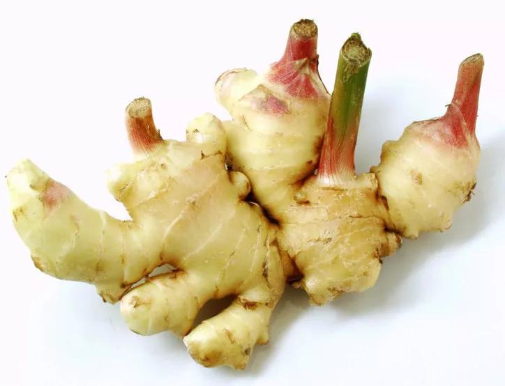 生姜施肥用硫酸钾还是硝酸钾好,七至八月份生姜怎样施肥管理