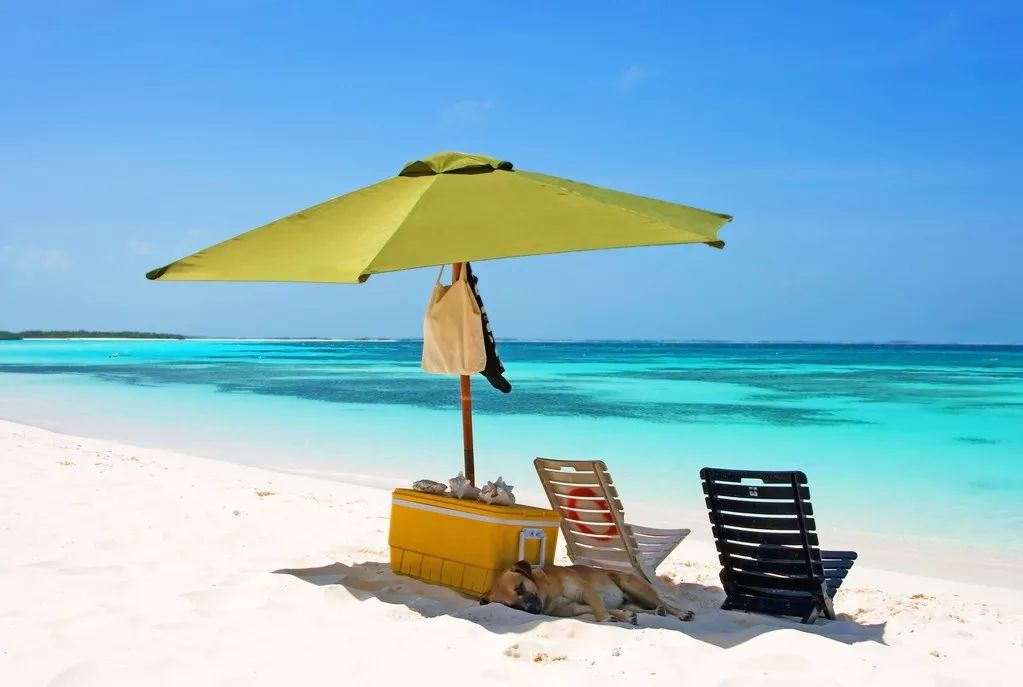 全球最美的海岛你想和谁一起去,带你去看世界最美海岛