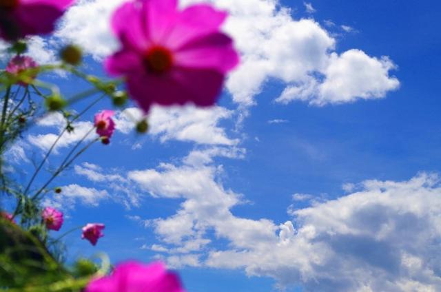 来大理需要什么条件才可以走呢,来大理有这份攻略就够了