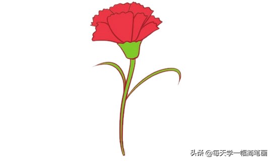 送给妈妈的母亲节康乃馨简笔画,画一朵康乃馨简笔画