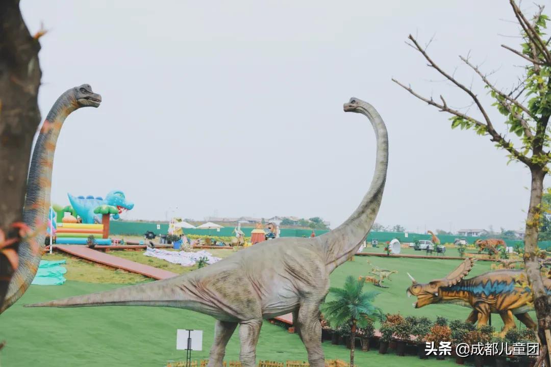 空港运动公园和空港花田哪个好耍,空港运动公园看飞机视频