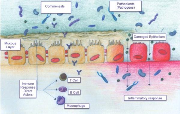 鼻窦炎的症状和鼻窦炎的治疗,全组鼻窦炎和全副鼻窦炎区别