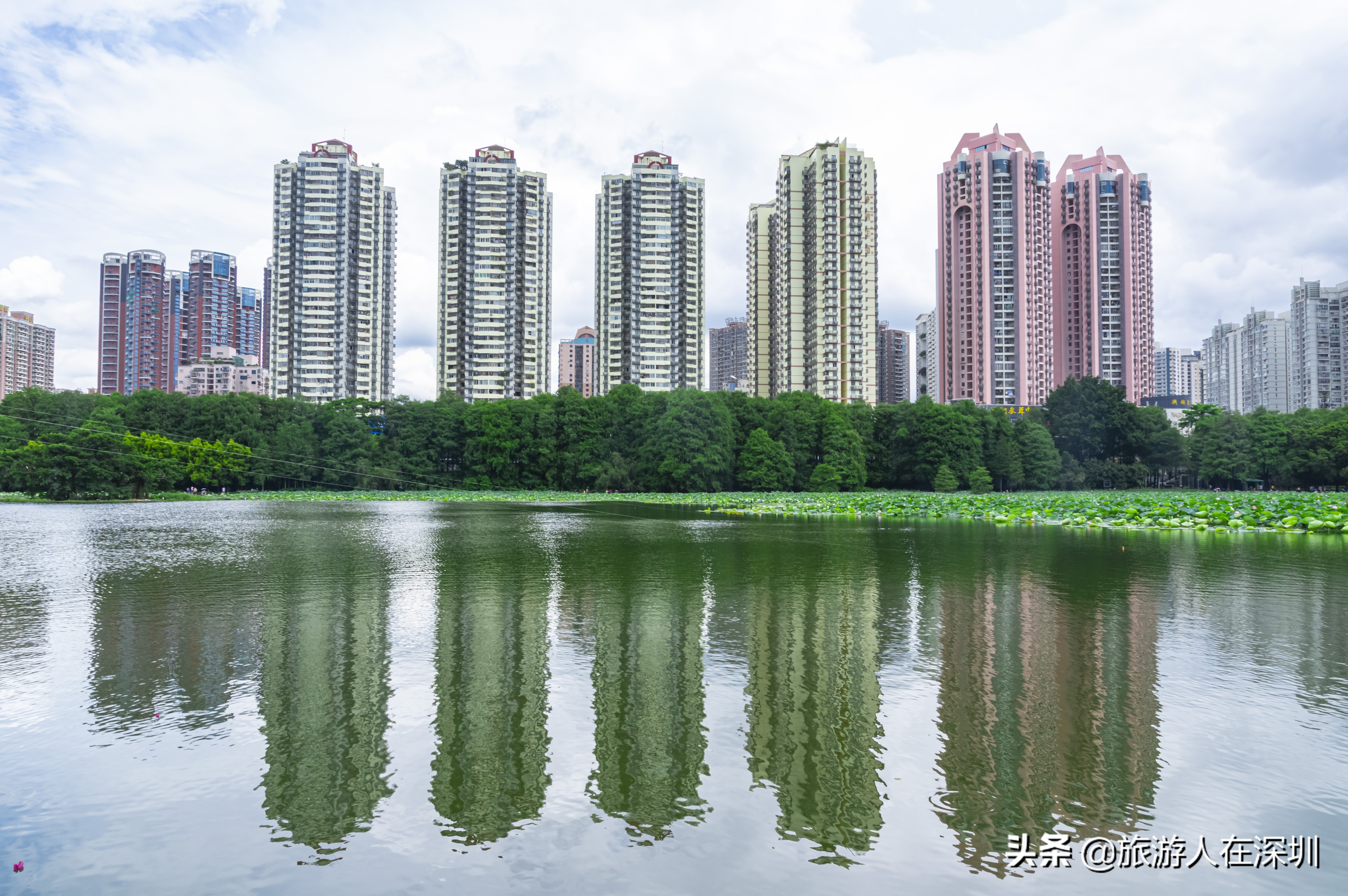 洪湖公园深圳免费景区,深圳市洪湖公园开放