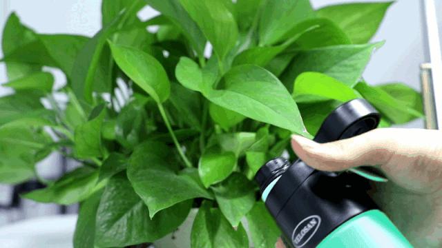 据说这个德国运动水瓶能当移动空调用？！亲测轻轻一喷清凉降温