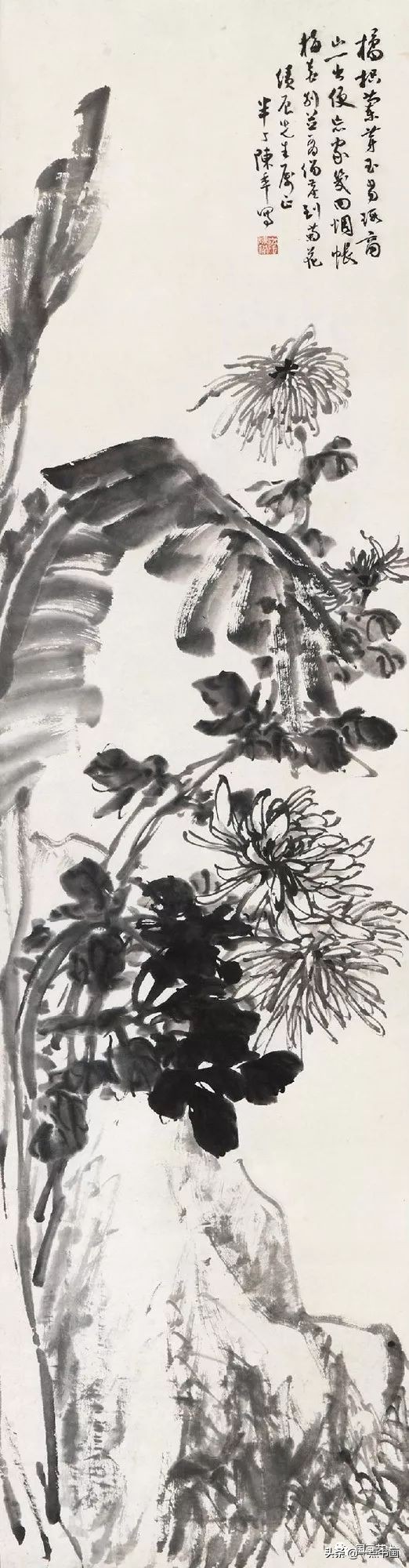 流光容易把人抛绿了芭蕉赏析,流光容易把人抛红了海棠绿了芭蕉