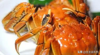 鼠年大吉菜谱大全,鼠年吉祥菜谱100例