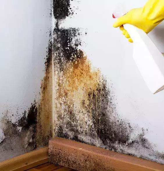 报纸防潮的方法,报纸防潮