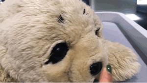 生活福冈,生活在福冈的十个理由