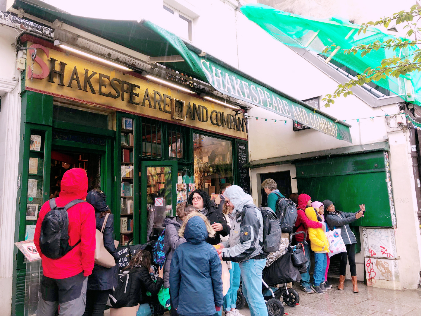 莫奈睡莲永恒之美,8幅巨型睡莲莫奈作品欣赏