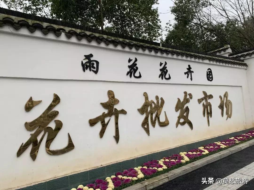 南京最大的花卉市场在哪里,南京最大花卉市场在哪里