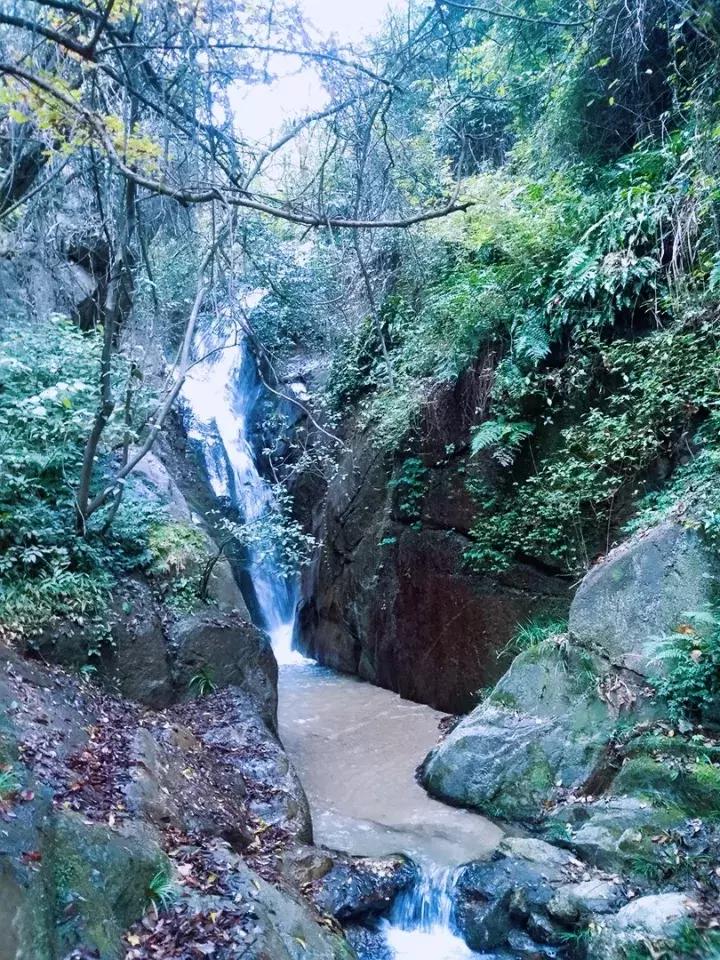 平江碧龙峡景区值得去玩吗,平江碧龙峡全长多少公里