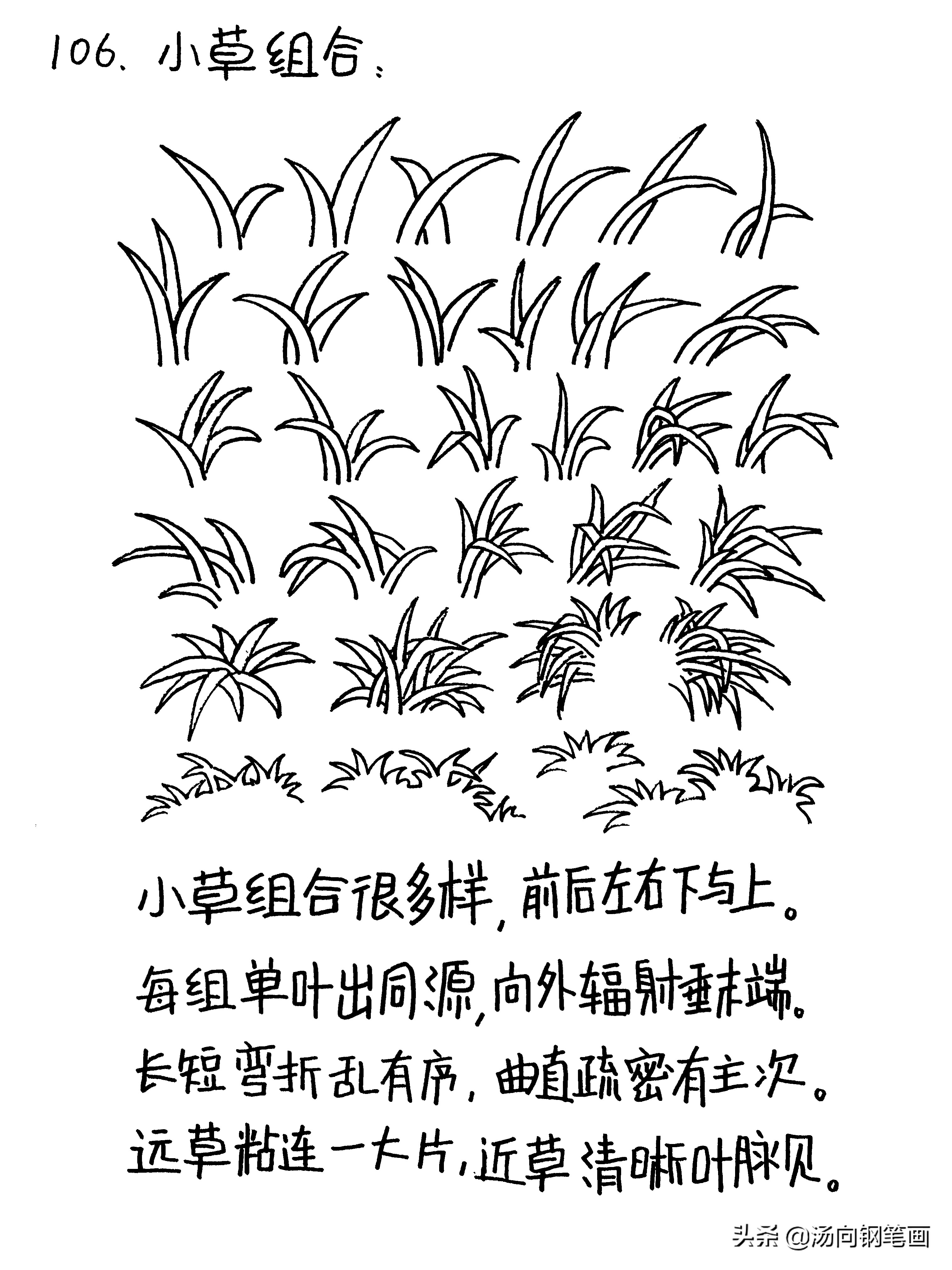 钢笔画零基础入门教程801,钢笔画教程零基础入门