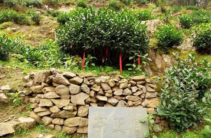 史上最贵茶杯,史上最贵茶具