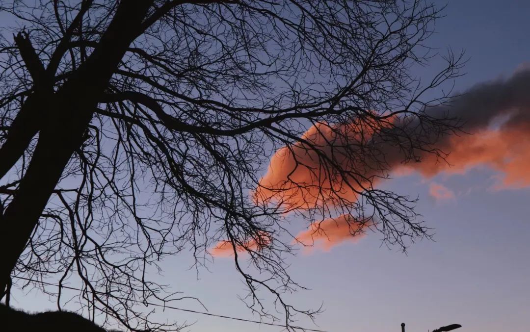 冬日雪景的诗句,黄山冬日雪景有关诗句