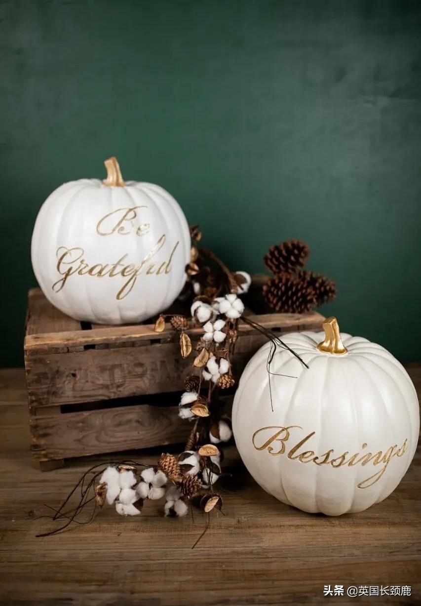 南瓜大作战攻略,南瓜大作战有几个地点