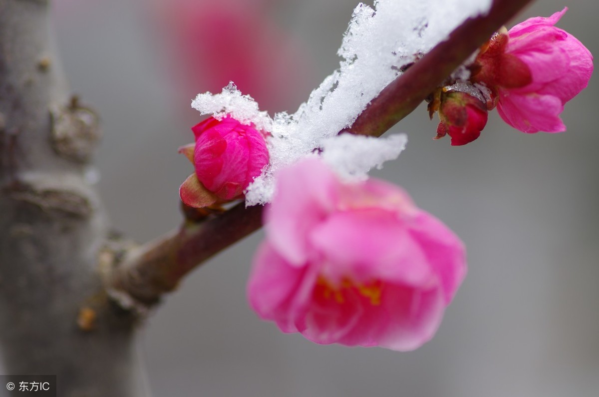成语接龙大全值得收藏,史上最全最好玩的成语接龙