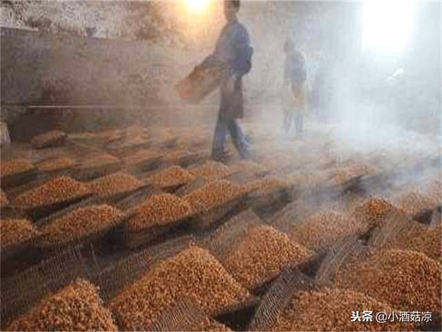 清香型白酒酿造工艺流程图,白酒的酿造方法视频教程