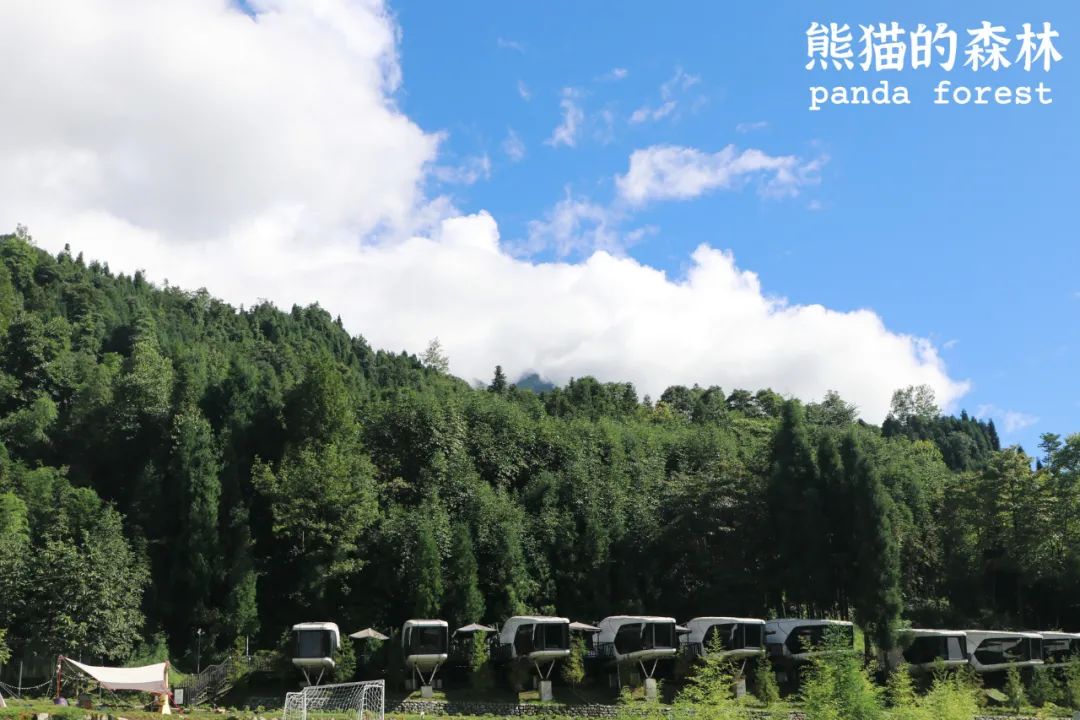 彭州太空舱营地,成都熊猫森林太空舱民宿