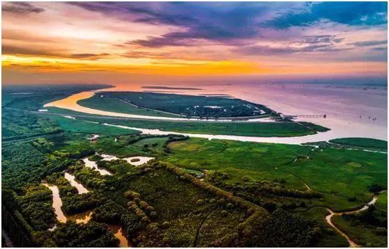 崇明度假酒店推荐,崇明凯悦亲子游攻略