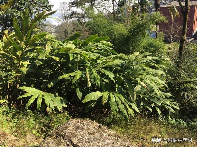 如何才能成功创业,县城创业成功案例