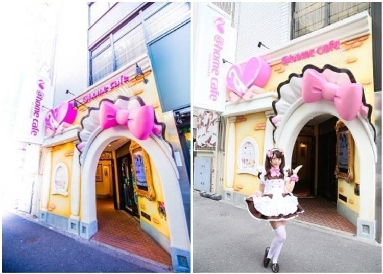 萌？治愈？宅男天堂？快来看看日本的女仆咖啡厅都提供哪些服务