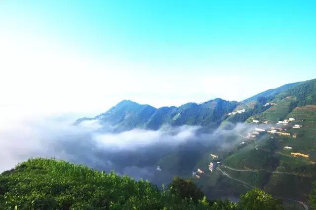 大自然唯美黄山风景摄影,打卡歙县蜈蚣岭高山茶梯田