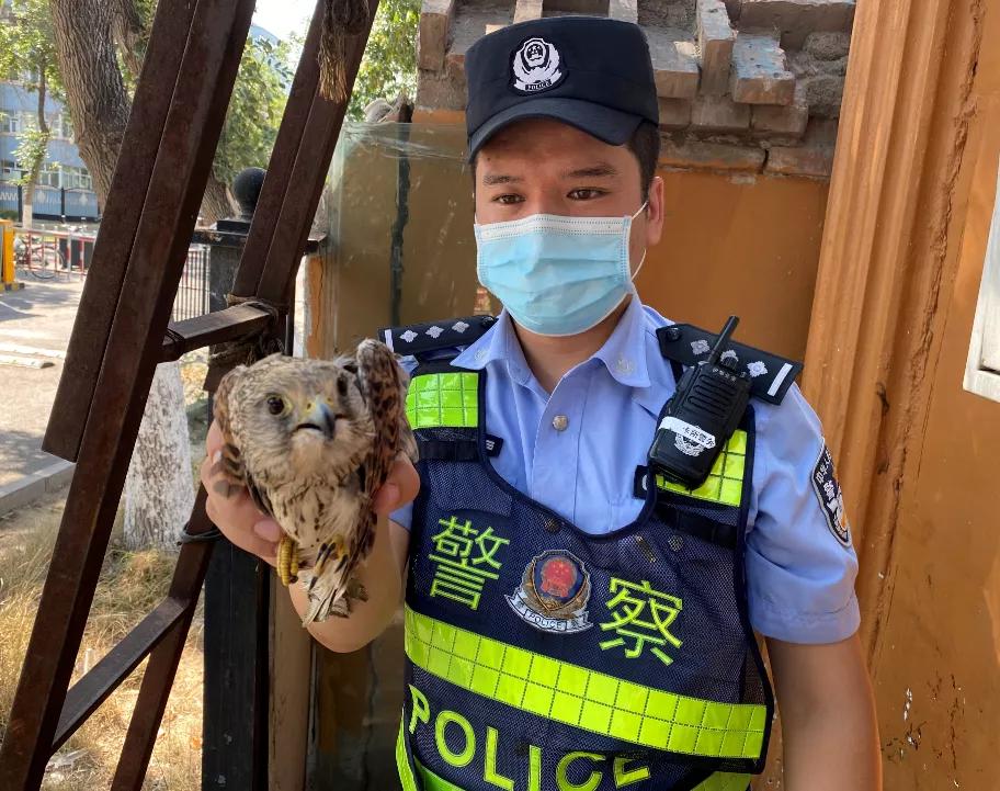 伊宁县疫情之下的我们,疫情期间医务人员不退缩