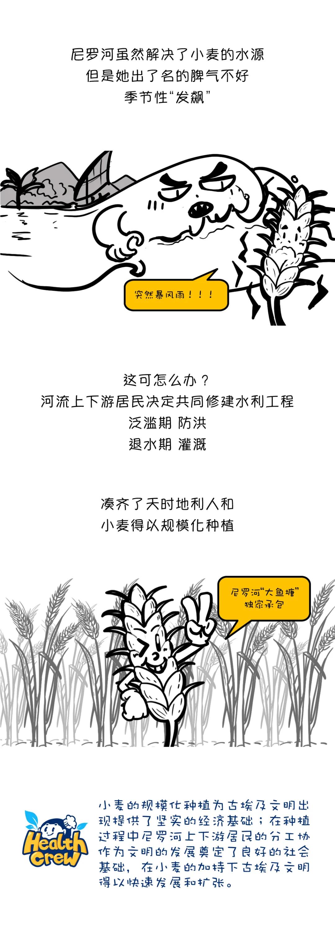 漫画食物简史有阅读价值吗,漫画食物简史漫画书