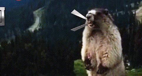 桌面上有excel文件路径确找不到,excel文件行不见了怎么办