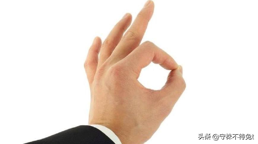 100个冷知识是什么,100万个冷知识