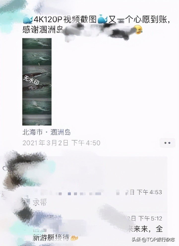 北海游玩观鲸,广西观鲸