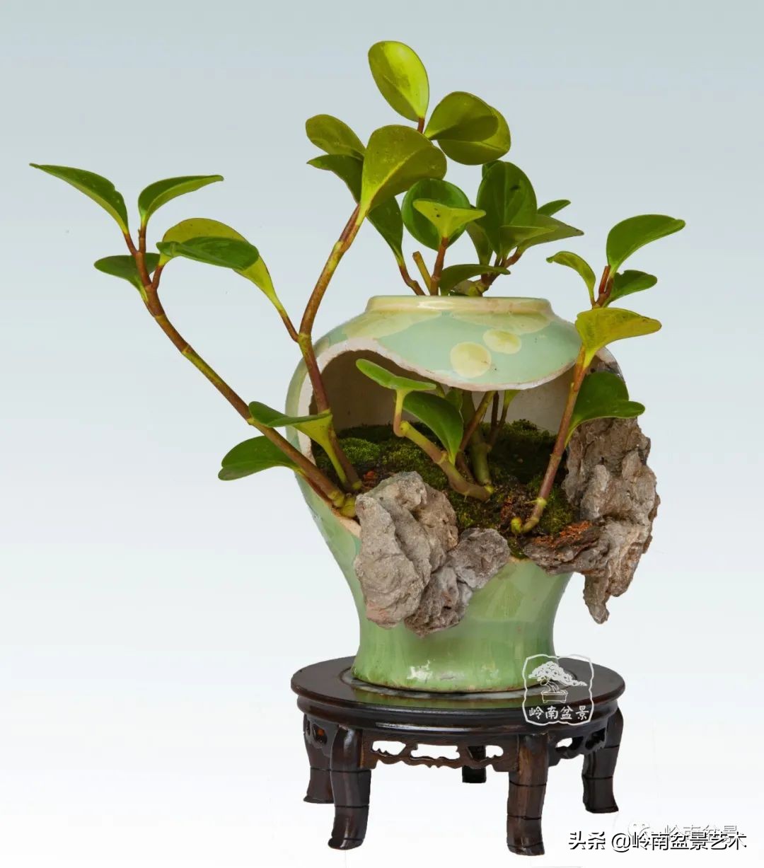 大师经典藏品,景德镇大师燕尾瓶价格