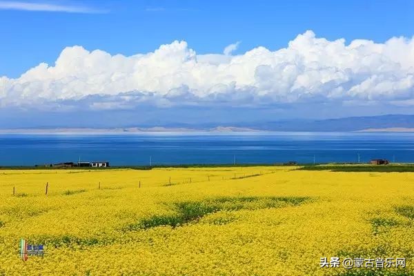 新歌推荐|乌兰娜《童年的油菜花》油菜花开正当时不负*光春**不负己