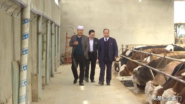 兴业联社播撒及时雨助力春耕备耕,酒泉农商银行春耕助力贷