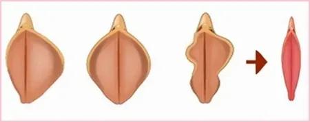 进来了解自己的句子,你不得不了解的8大问题都在这里