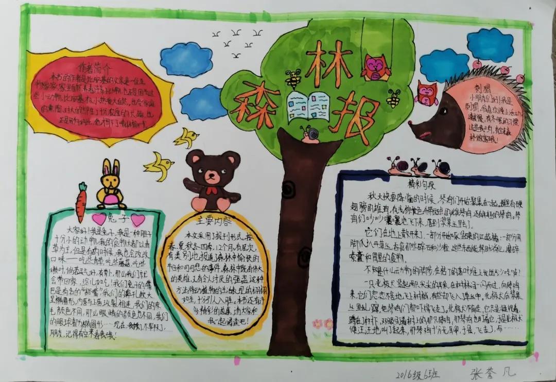 成都天府新区南湖小学,天府新区南湖小学