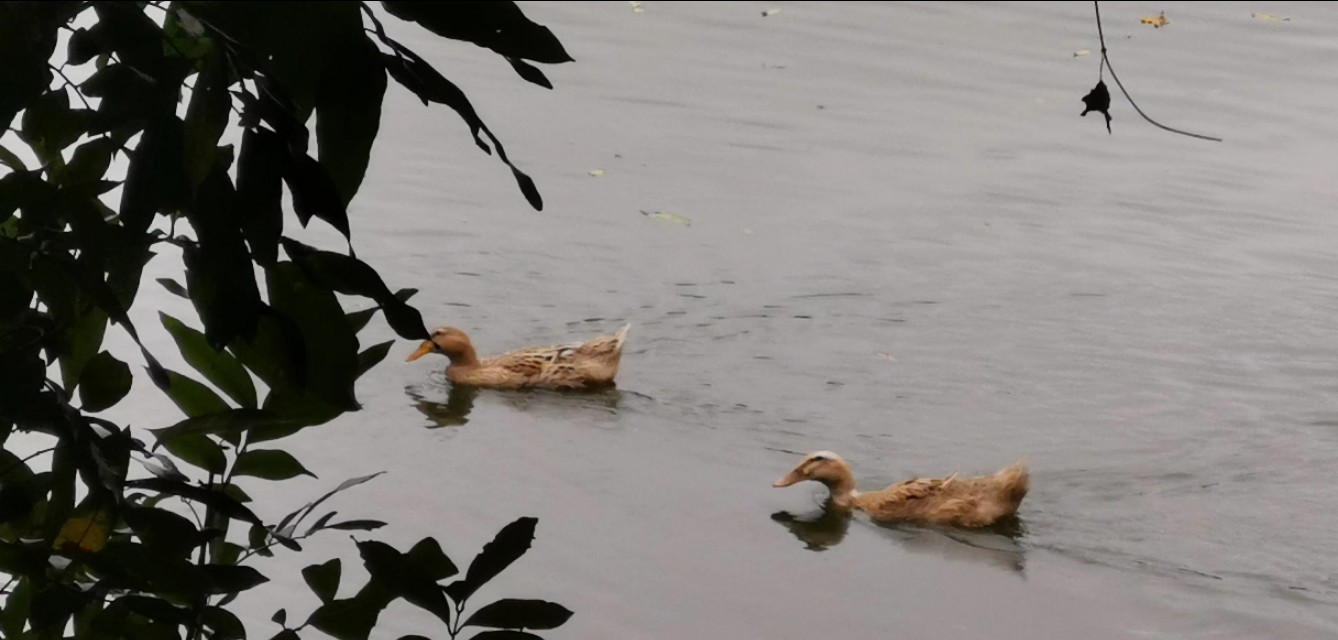 记录我在深圳的工地生涯,记录一下跑工地的点点滴滴