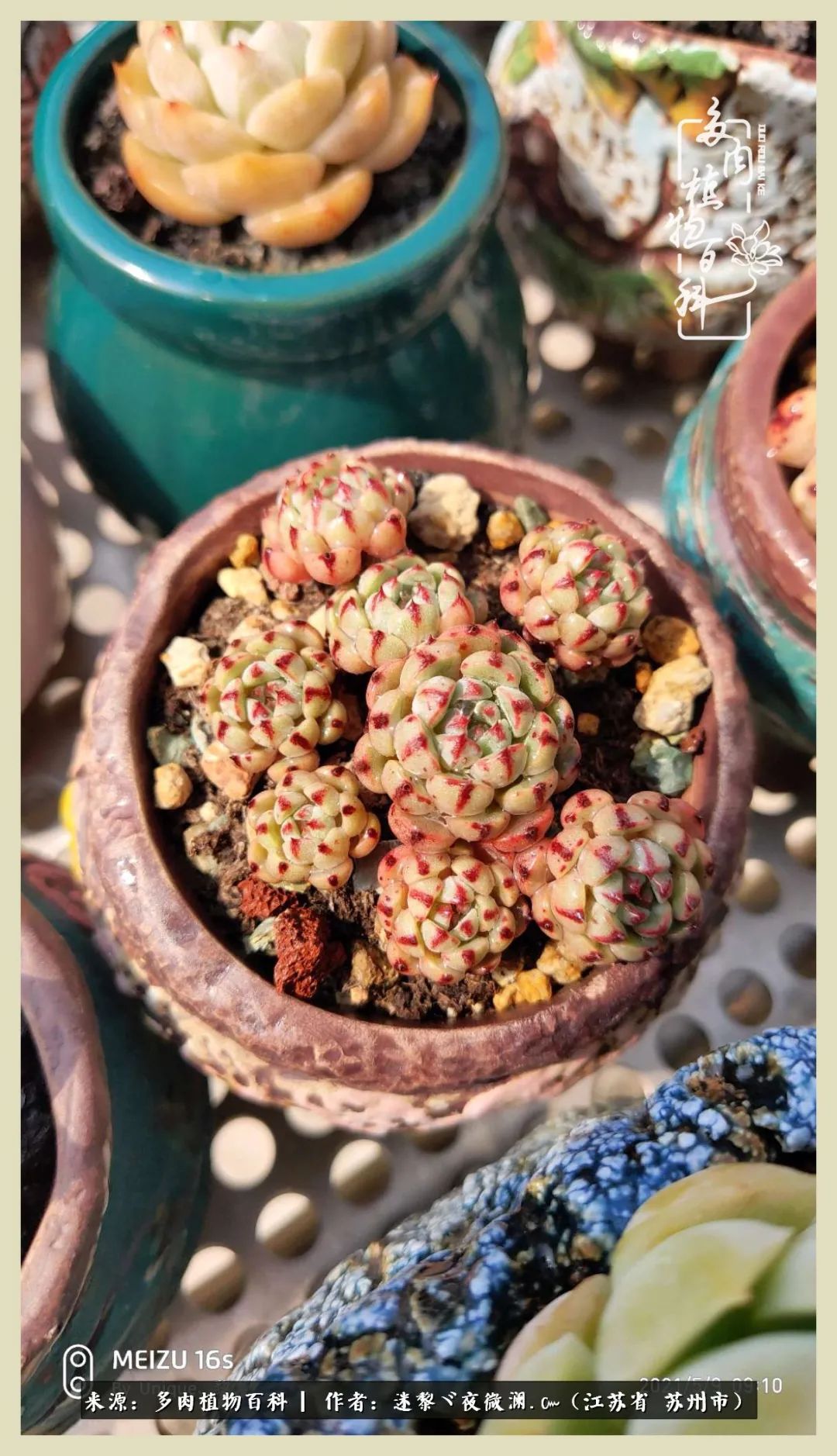 秋尽冬来岁月不居时节如流,岁月不居时节如流水