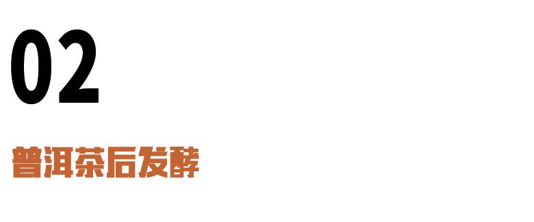 茶事情韵鉴茶,茶事发展与茶文化的形成