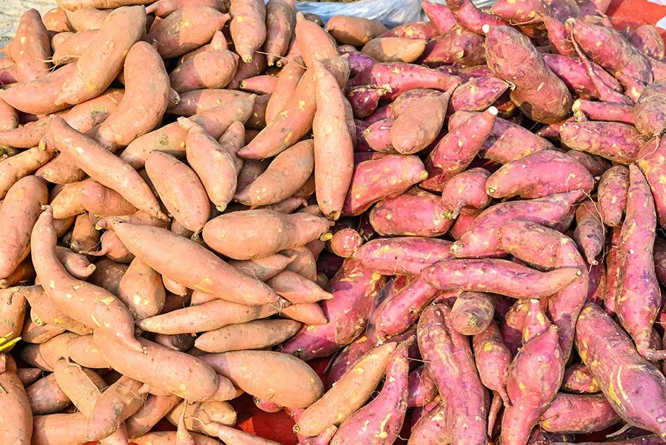 满满的烟火气逛大集真好玩,最值得逛的大集