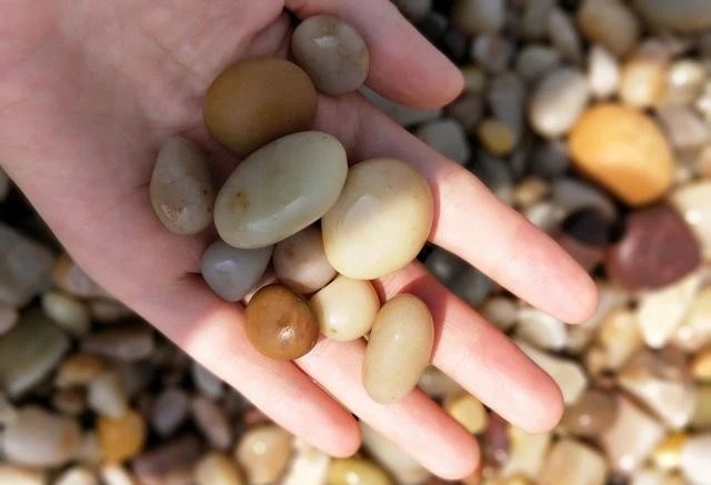 烟台自由行路线,威海烟台旅游攻略