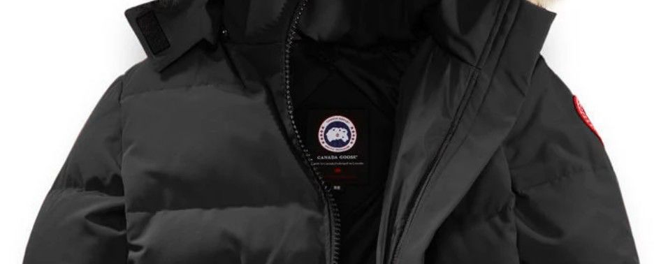 十件大鹅九件假四招教你辨真假,十件大鹅九件假是什么意思