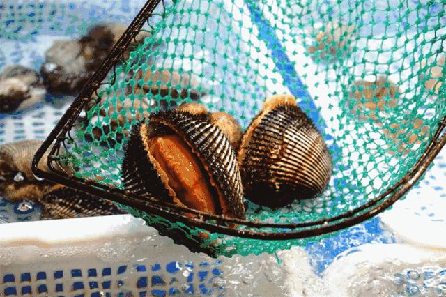 南通人过去一年最爱去的这36家餐厅，都在这儿了