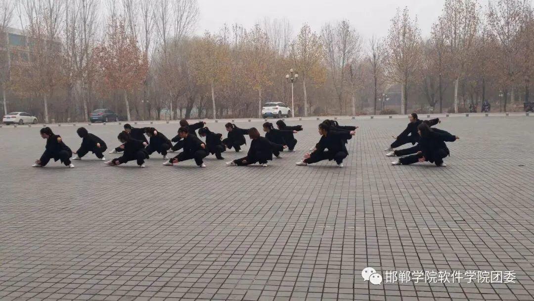 aseo学校招生简章,邯郸学院软件技术