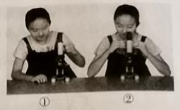 初中生物学业水平考试电子版,初中生物学业水平考试质量分析